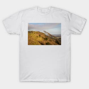 Walkers on the Hill - 2012 T-Shirt